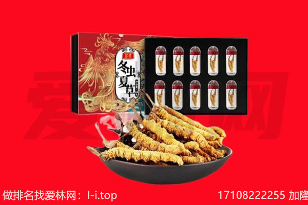 延安市志丹回收虫草.jpg